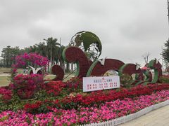 -华侨公园
