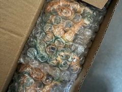 -普陀山慧济禅寺