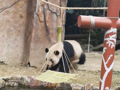 -常州淹城野生动物世界