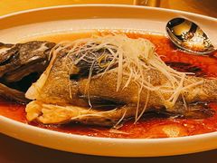清蒸石斑鱼-海尔洲际酒店天下一品中餐厅