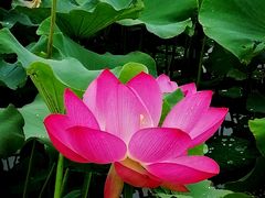 -处女泉风景名胜区