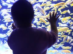 -成都浩海立方海洋公园