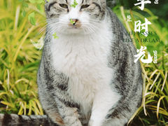 -静安公园(静安寺街道)