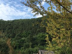-楠柏弯休闲山庄(梨花溪店)