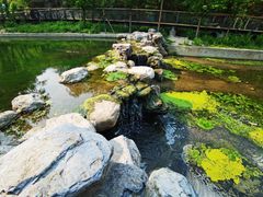 -白水寺森林公园