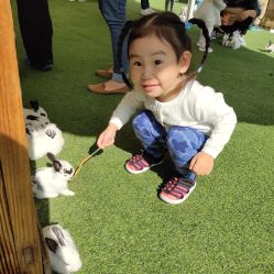 -萌宠亲子动物乐园(槐房万达店)