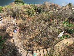 -广州市流溪河国家森林公园