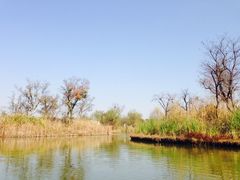 iphone_upload_pic-梁鸿国家湿地公园