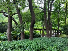 -徐家汇源景区-衡山公园