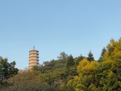 -深圳国际园林花卉博览园