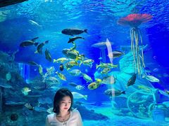 -沈阳海洋探索中心