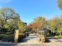 -陈扬蟹黄汤包(开元路店)