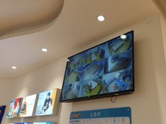 -睿趣疯狂机器人·乐高·编程·STEM(橡树湾中心)