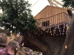 -杭州开元森泊度假乐园