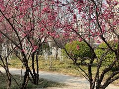 -山东大学(趵突泉校区)