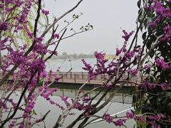-中国翰园碑林