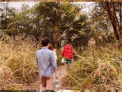 -白鹭湾湿地公园