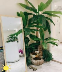 -健身堂科技美肌SPA