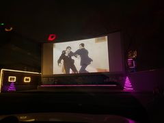 -枫花园汽车电影院(朝阳公园店)