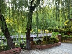 -橘洲1925湖湘餐厅