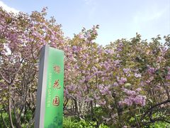 -长白岛森林公园