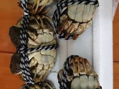 -喜洋洋蟹庄(阳澄湖店)