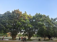 -东莞植物园