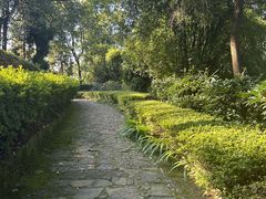 -南山植物园