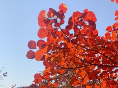 -周口店坡峰岭风景区