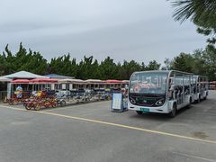 -日照海滨国家森林公园
