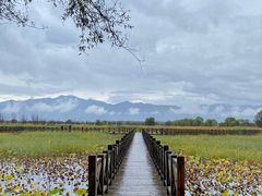 -野鸭湖国家湿地公园