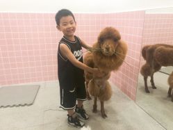 -Moni星球萌宠·小马宝莉·灵蛇·高端高阶全萌宠互动体验俱乐部(红豆国际广场店)