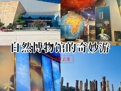 -烟台自然博物馆