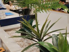 -兰湘子·湘菜小炒(崂山丽达店)