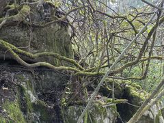 -山王坪喀斯特国家生态公园