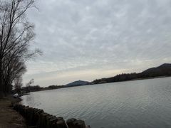 -长广溪湿地公园