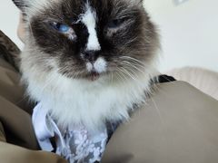 -怪兽屋·羊驼·猫咖·狗咖(俊华广场店)