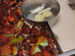 红汤梭边鱼锅-新辣道鱼火锅(世纪金源购物中心店)