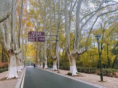 -灵谷景区