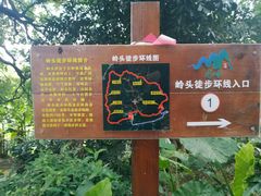 -黄埔油麻山森林公园