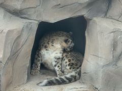 -青藏高原野生动物园