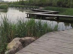 -前关湿地公园