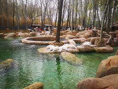 -北京野生动物园