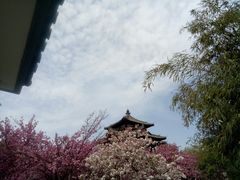-西安青龙寺遗址景区