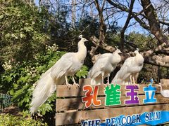 -宁波野生动物园