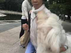 -宜家家居（上海徐汇商场店）-停车场