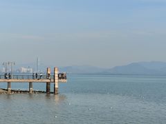 -深圳湾公园(南山区)