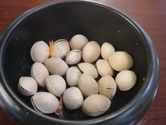 -黑松白鹿(崇文门新活馆店)