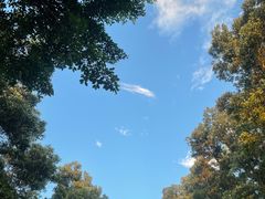 -阿妹小海鲜(下角店)