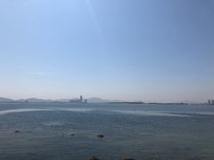 -萌萌牛紫米露(烟台大学店)